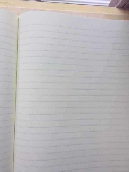 What Type of Page Ruling Should You Use? – Notebook Joy